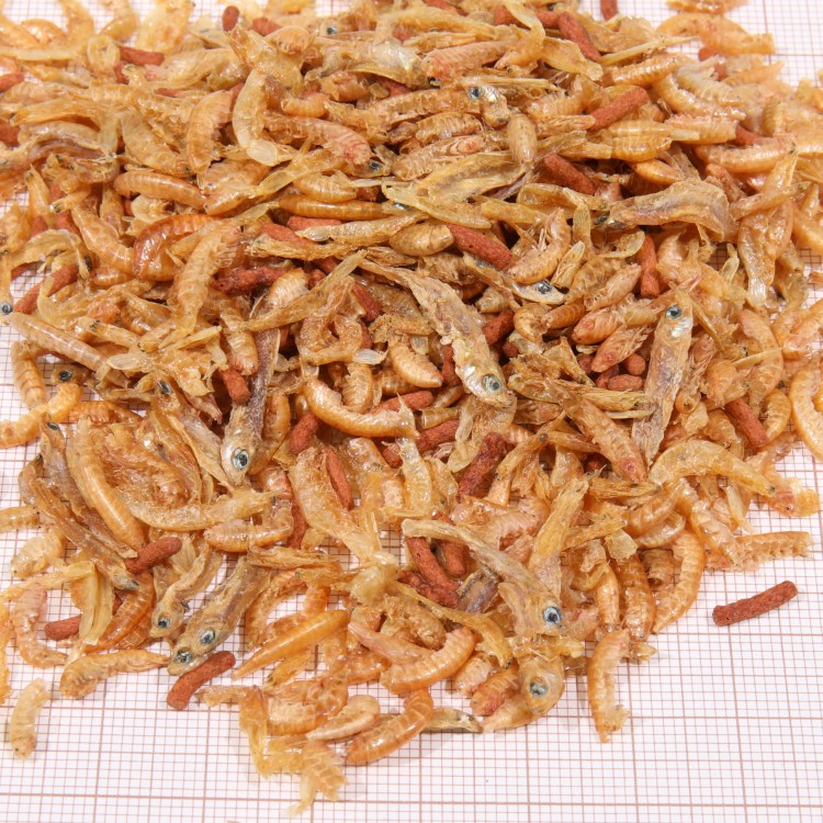 Mancare testoase JBL Pro Terra Baby 250 ml - imagine 5